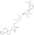 Nicotinamide 1,N6-ethenoadenine dinucleotide