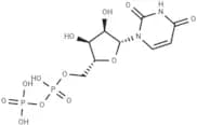 Uridine 5'-diphosphate