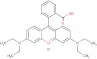 Rhodamine B