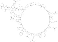 Lactoferricin H, Lactotransferrin (37-61), human