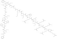 TP4 (Nile tilapia piscidin)