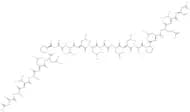 Ac-AAVALLPAVLLALLAP-LEVD-CHO