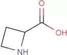 Azetidine-2-carboxylic acid