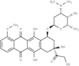 N,N-Dimethyldoxorubicin