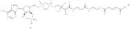 Glutaryl coenzyme A lithium