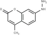 Coumarin hydrazine