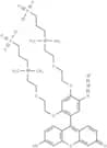 CalFluor 488 Azide