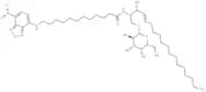 C12 NBD Galactosylceramide