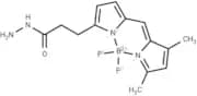 BODIPY FL hydrazide