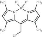 Bodipy 8-chloromethane