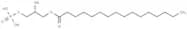 1-Palmitoyl-sn-glycerol 3-phosphate