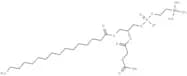 1-Palmitoyl-2-succinyl-sn-glycerophosphorylcholine