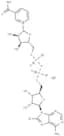 8-bromo NAD+ sodium