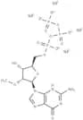 2'-O-Methylguanosine-5'-O-triphosphate sodium