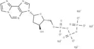 2'-Deoxy-1,N6-ethenoadenosine-5'-O-triphosphate sodium