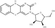 Tricyclic cytosine tC