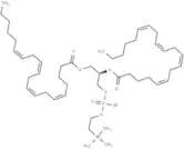 1,2-Dibehenoyl-sn-glycero-3-phosphocholine