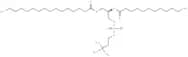 1-Palmitoyl-2-Lauroyl-sn-glycero-3-PC