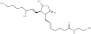 Prostaglandin E2 Ethanolamide