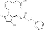 17-phenyl trinor Prostaglandin E2