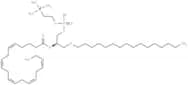 1-O-hexadecyl-2-Eicosapentaenoyl-sn-glycero-3-PC
