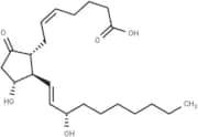 20-ethyl Prostaglandin E2
