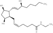Prostaglandin F2α ethyl amide