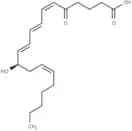 5-oxo Leukotriene B4