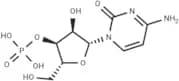 Cytidine 3'-monophosphate
