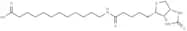 12:0 N-Biotinyl Fatty Acid