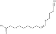 Palmitoleic Acid Alkyne