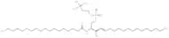 C18 Sphingomyelin (d18:1/18:0)