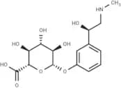 Phenylephrine Glucuronide