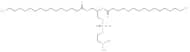 1,2-Dipalmitoyl-sn-glycero-3-N,N-dimethyl-PE