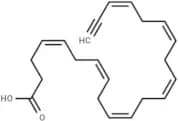 Docosahexaenoic Acid Alkyne