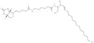 C6 Biotin Ceramide (d18:1/6:0)