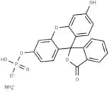 Fluorescein-diphosphat ammonium