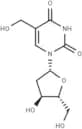 5-Hydroxymethyldeoxyuridine