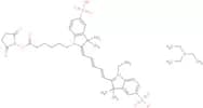 CY5-SE triethylamine salt