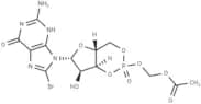 8-Br-cGMP-AM