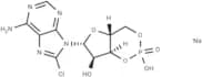 8-Chloro-cAMP sodium