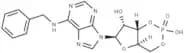 6-Bn-cAMP