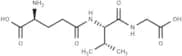 γ-Glu-Val-Gly