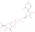 UDP-g acid