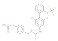 RORγt inverse agonist 13