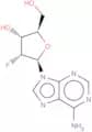 2'-Fluoro-2'-Deoxyadenosine