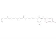 Lactoferrin