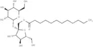Sucrose Monododecanoate