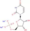 Uridine 5'-monophosphate disodium salt