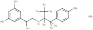Fenoterol-d6 Hydrobromide